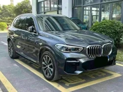 ​BMW X5 xDrive40i M Sport 2