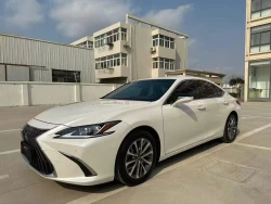 Lexus ES 200 Luxury Edition 0