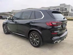 BMW X5 xDrive30Li M Sport 2.0T 0